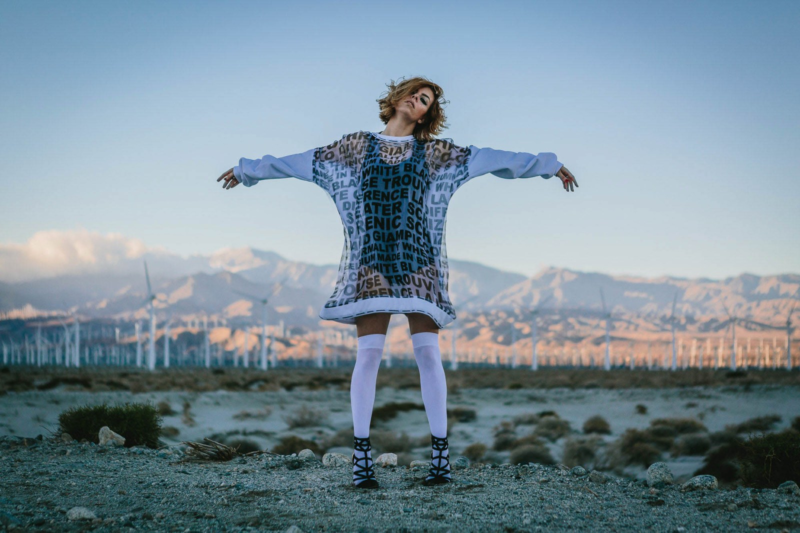 A model holding out the sides of a patterned dress above a distant city landscape.