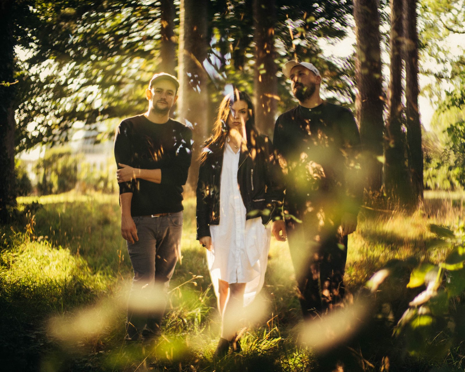 Three band members standing among trees in low golden sunlight.