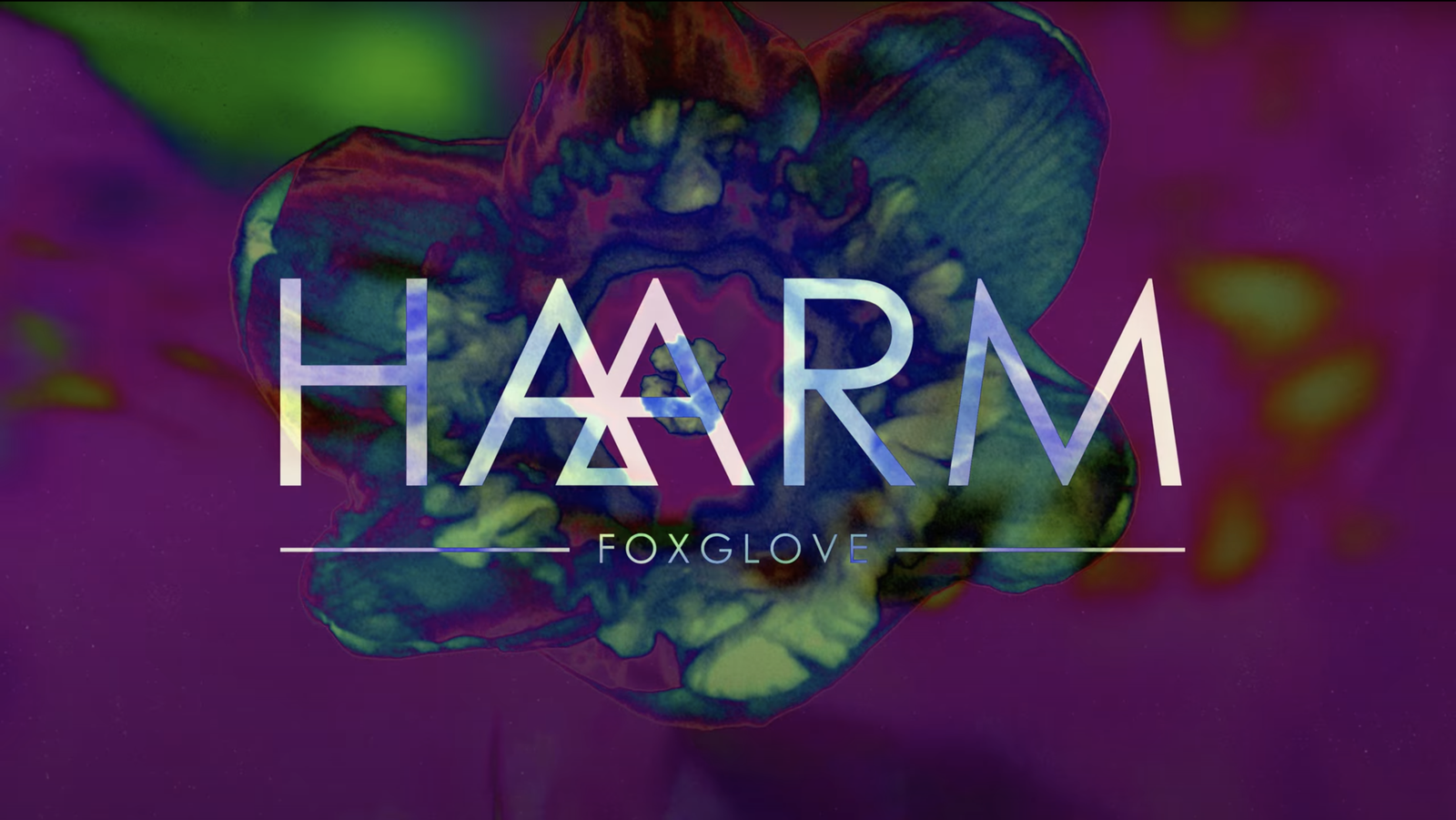 HAARM - Foxglove